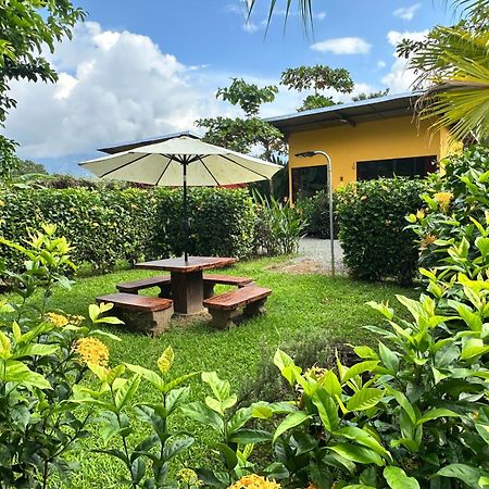 Uvita Oasis Retreat With Villa Cabins And Apartment المظهر الخارجي الصورة