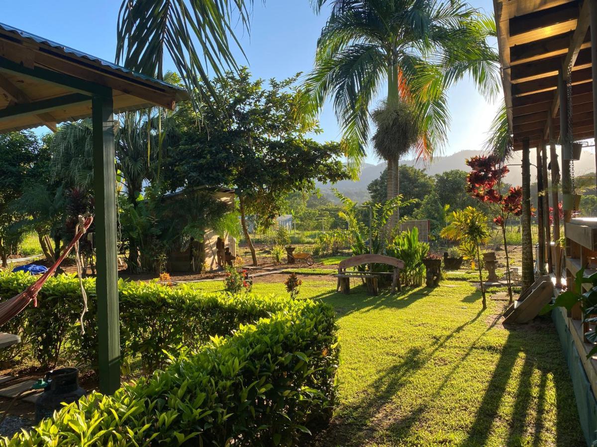 Uvita Oasis Retreat With Villa Cabins And Apartment المظهر الخارجي الصورة