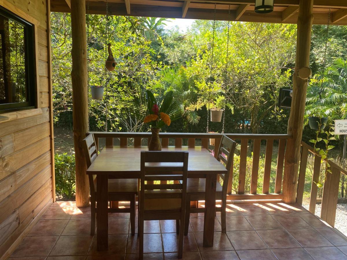 Uvita Oasis Retreat With Villa Cabins And Apartment المظهر الخارجي الصورة