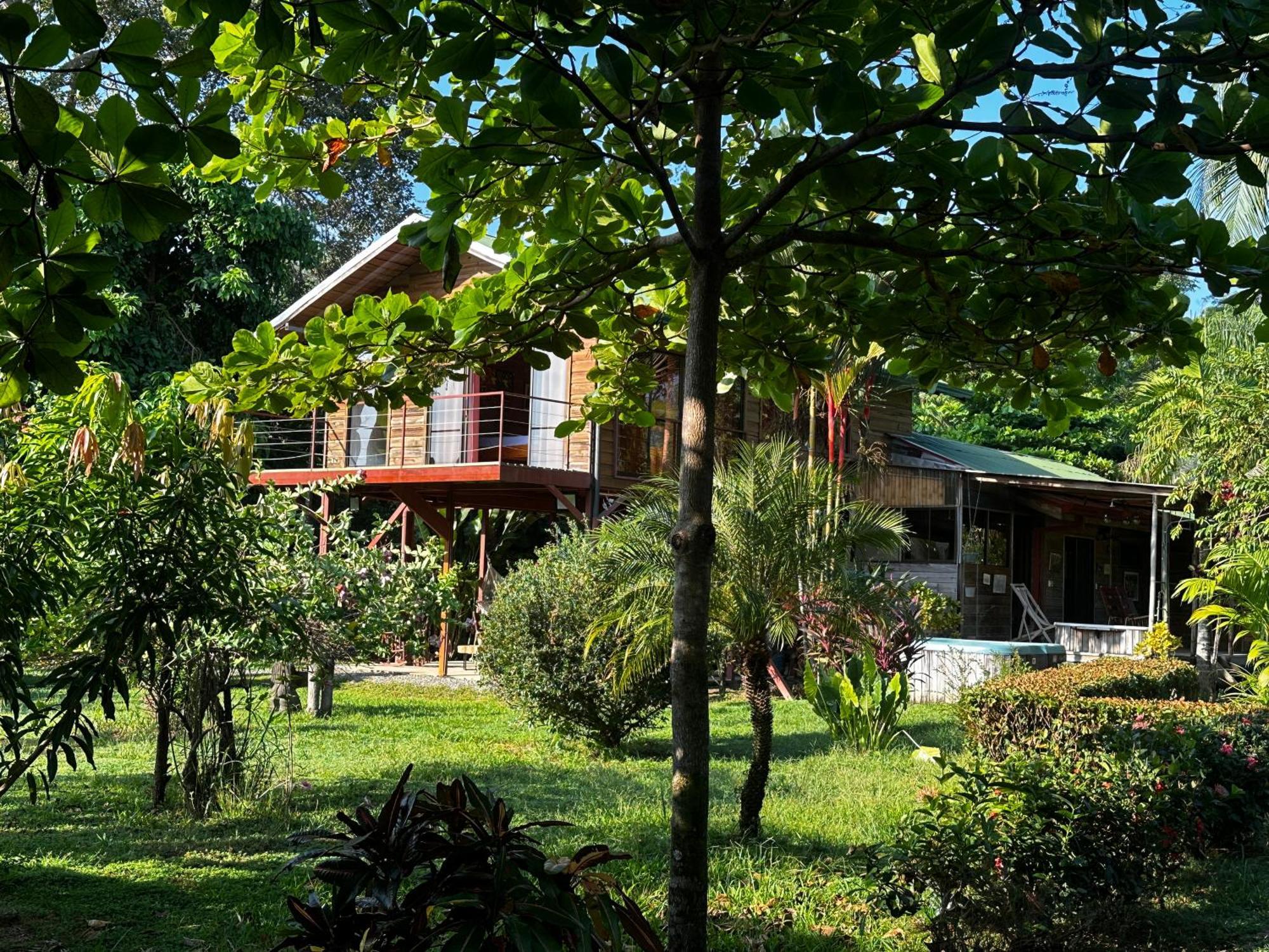 Uvita Oasis Retreat With Villa Cabins And Apartment المظهر الخارجي الصورة
