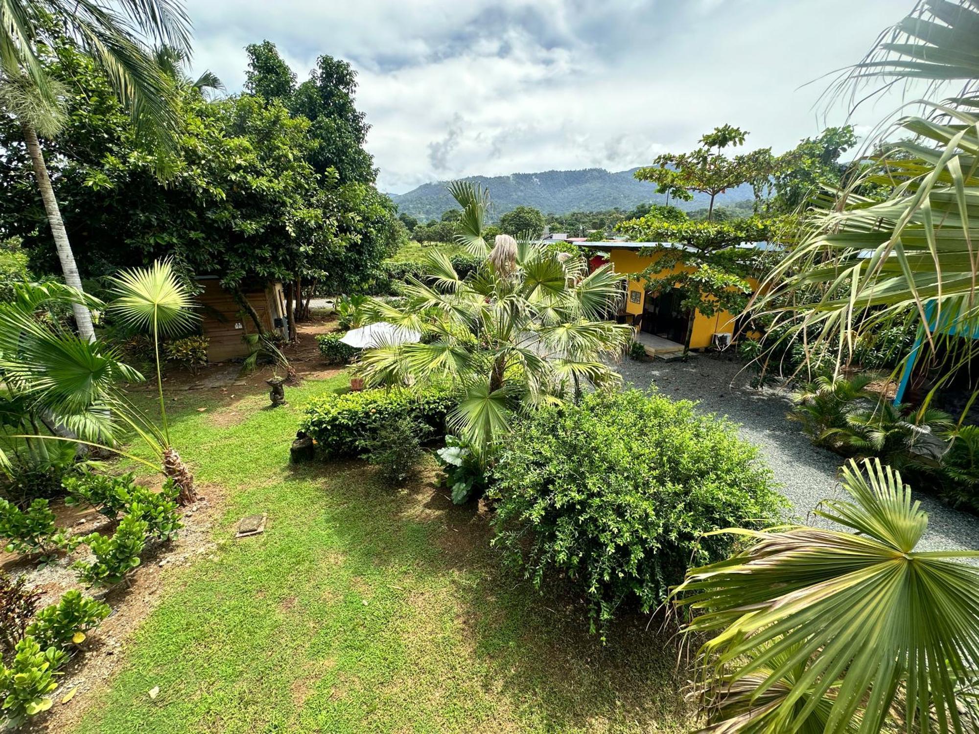 Uvita Oasis Retreat With Villa Cabins And Apartment المظهر الخارجي الصورة