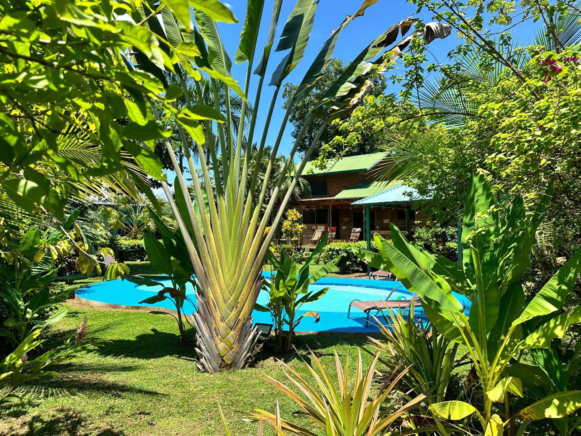 Uvita Oasis Retreat With Villa Cabins And Apartment المظهر الخارجي الصورة