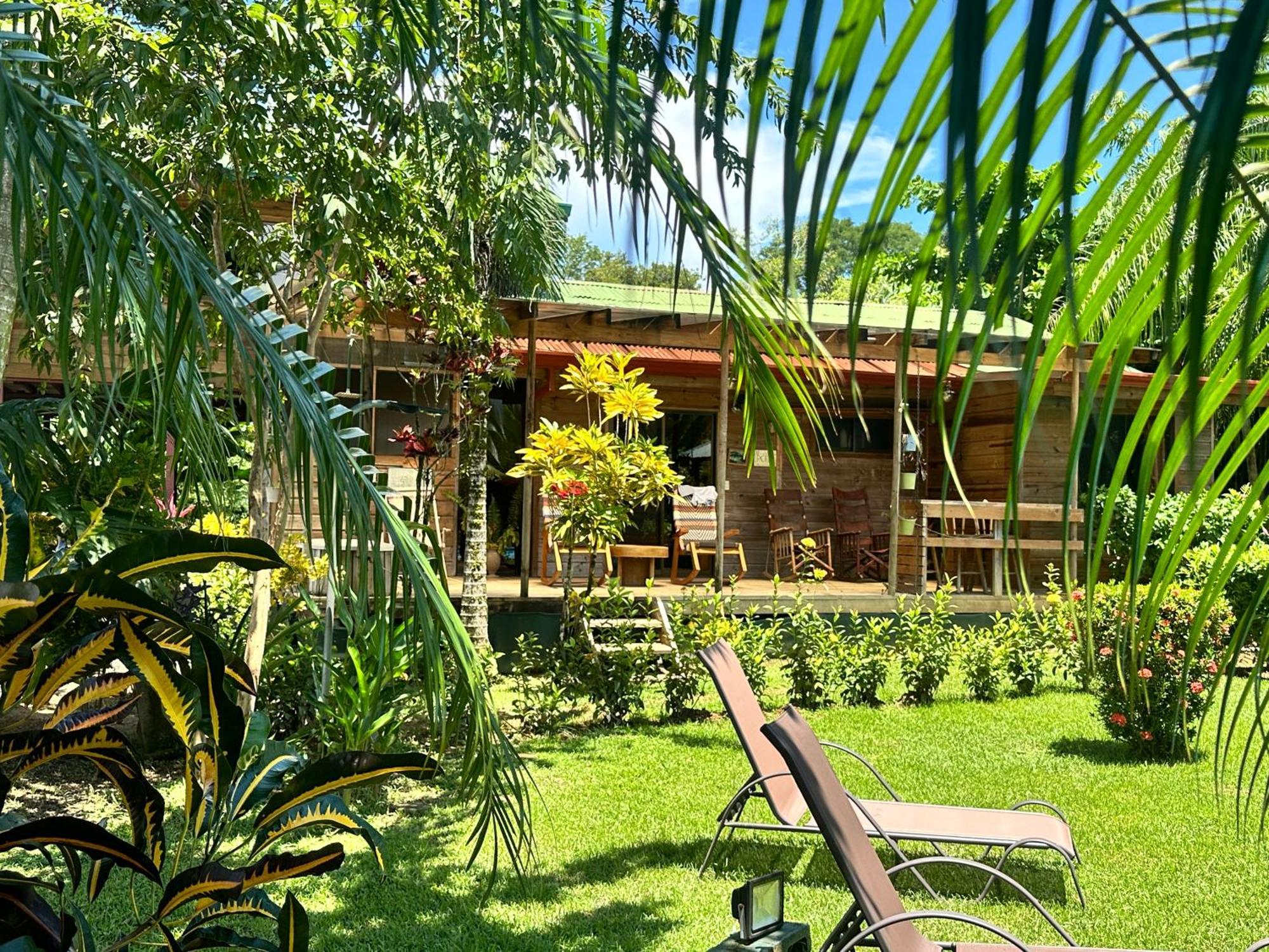 Uvita Oasis Retreat With Villa Cabins And Apartment المظهر الخارجي الصورة