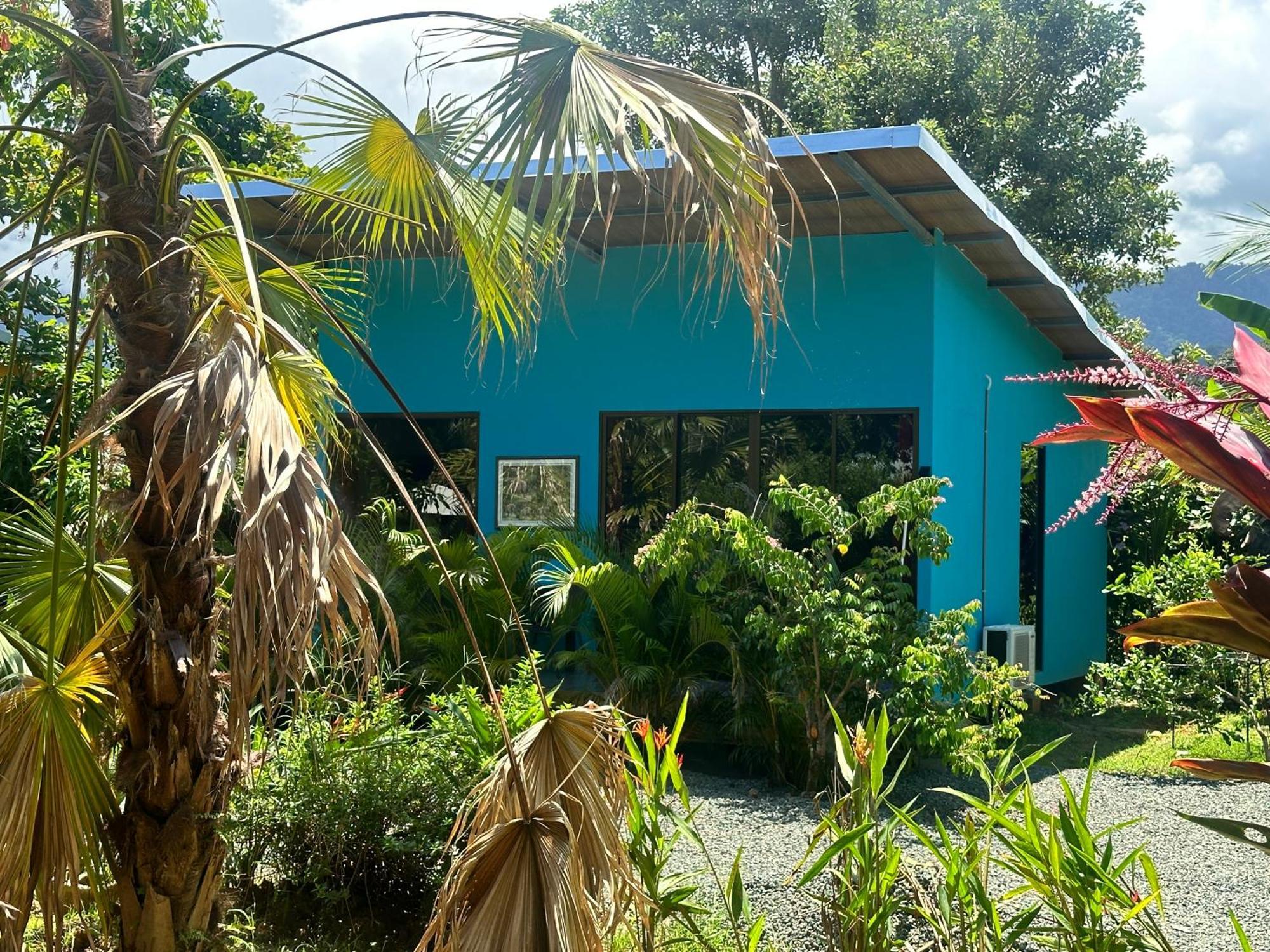 Uvita Oasis Retreat With Villa Cabins And Apartment المظهر الخارجي الصورة
