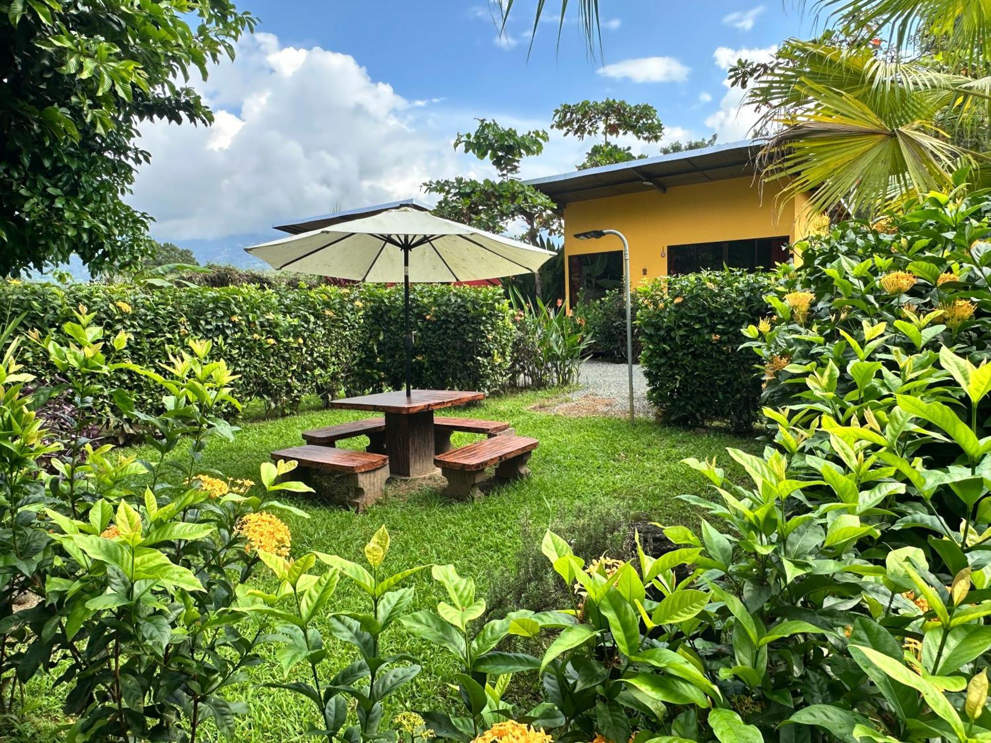 Uvita Oasis Retreat With Villa Cabins And Apartment المظهر الخارجي الصورة